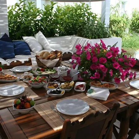 فندق Alenos Boutique ألاتشاتي