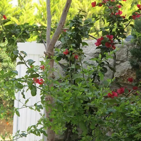 فندق Alenos Boutique 2*