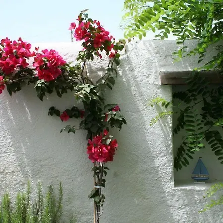 Alenos Boutique 호텔 알라카티