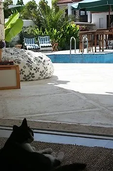 호텔 Alenos Boutique 2*