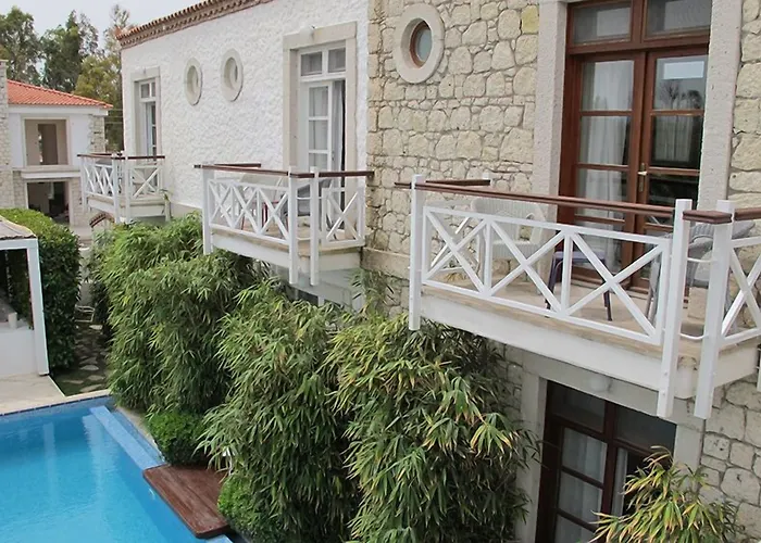 Alenos Boutique Hotel 2*