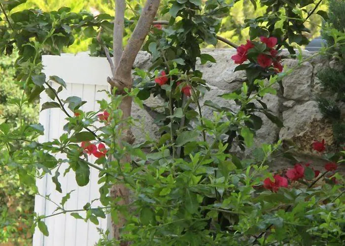 Hotel Alenos Boutique 2*